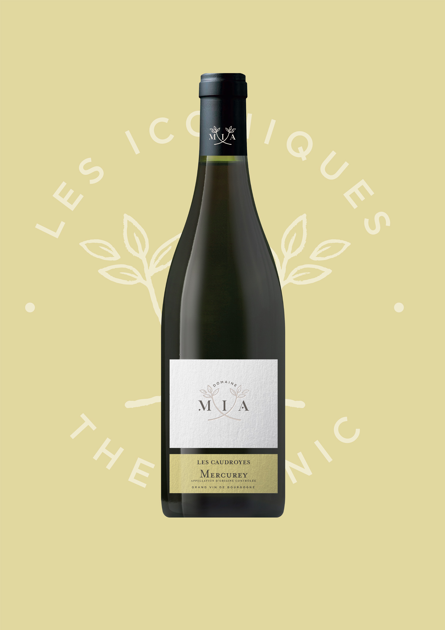 Les Caudroyes Blanc vin de Bourgogne Bio Mercurey - Domaine Mia