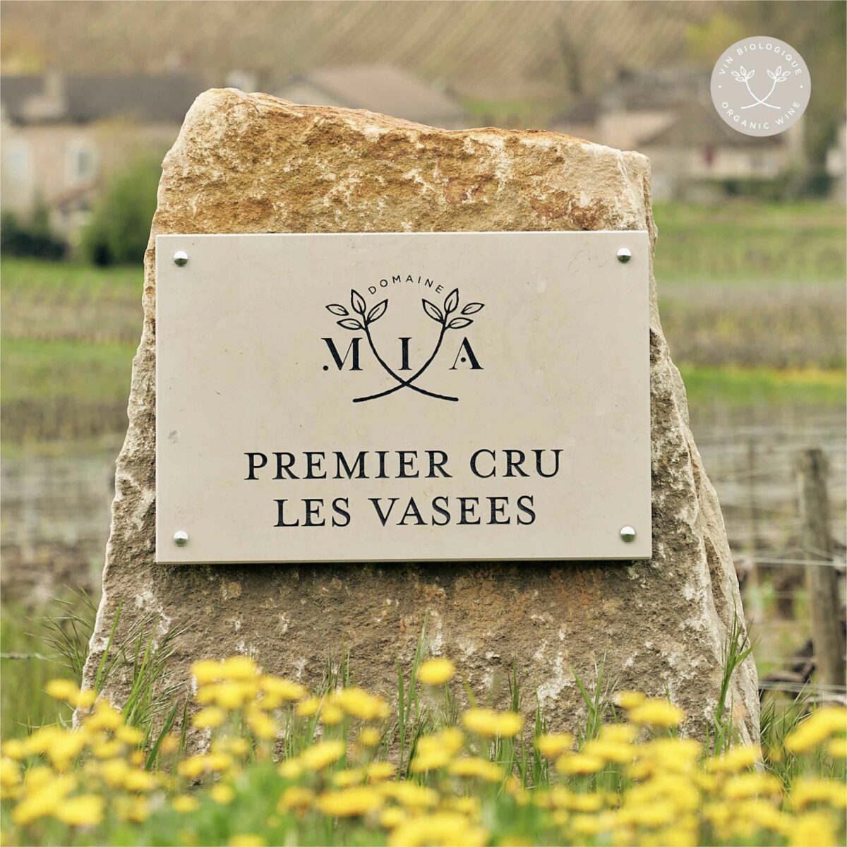 Les Vasées AOC Mercurey Domaine Mia