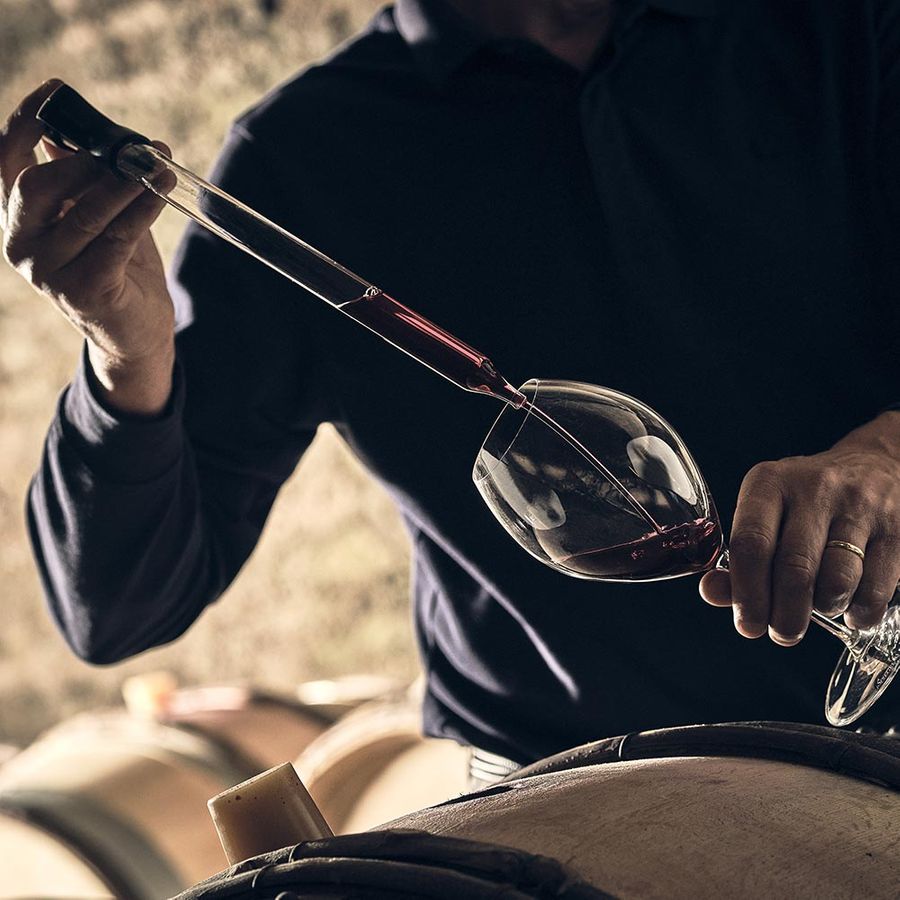 La vinification dans les caves de Bourgogne Domaine Mia