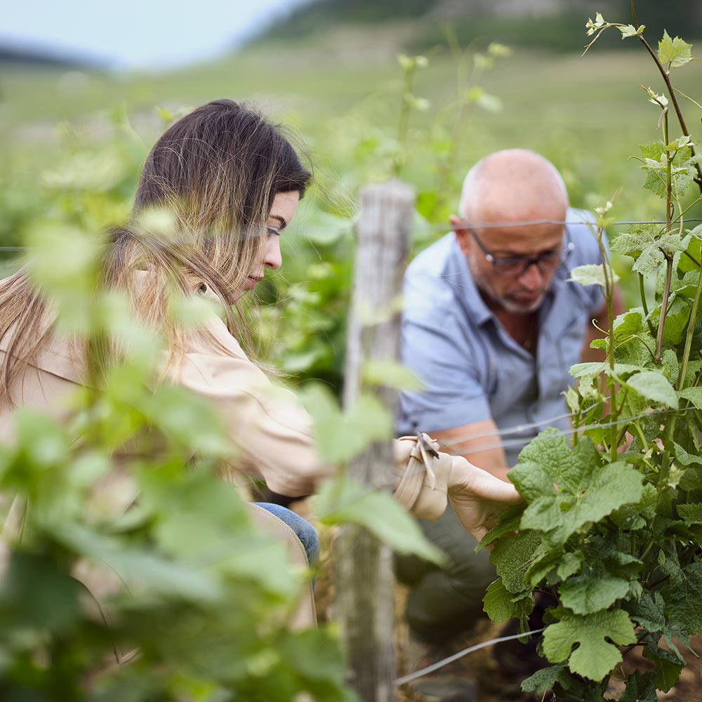 L'équipe du Domaine MIA dans les vignes de Mercurey