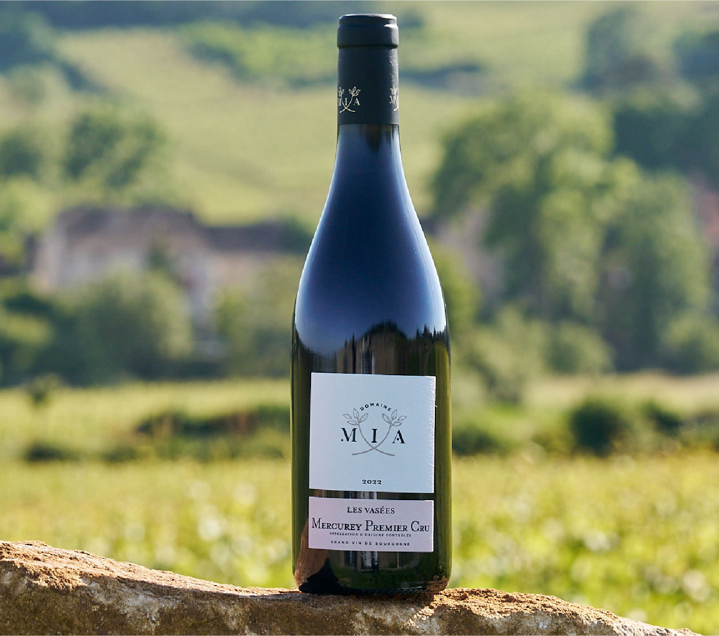 Les vins rouges Mercurey, une pépite en Bourgogne