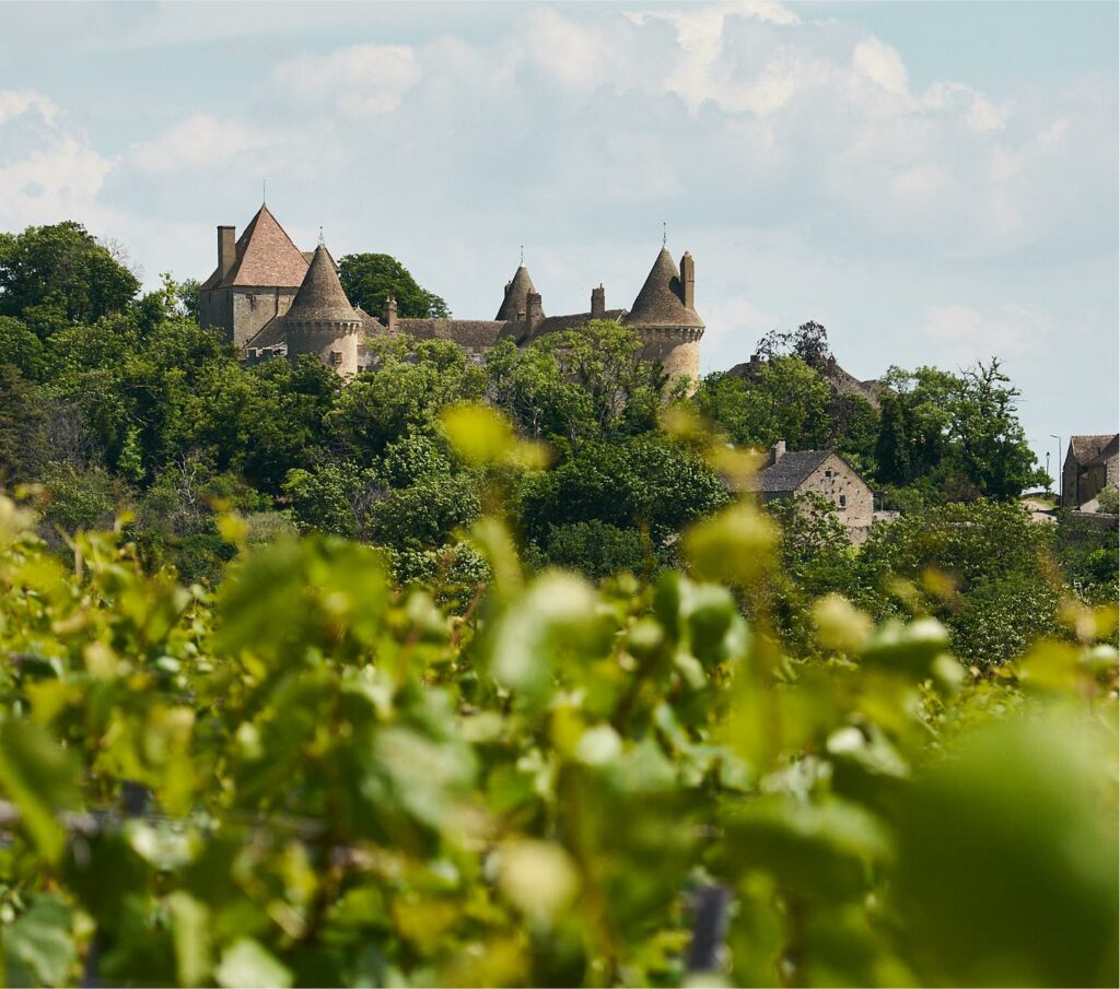 Elégance et richesse d'un vin blanc bio de Rully - Domaine Mia