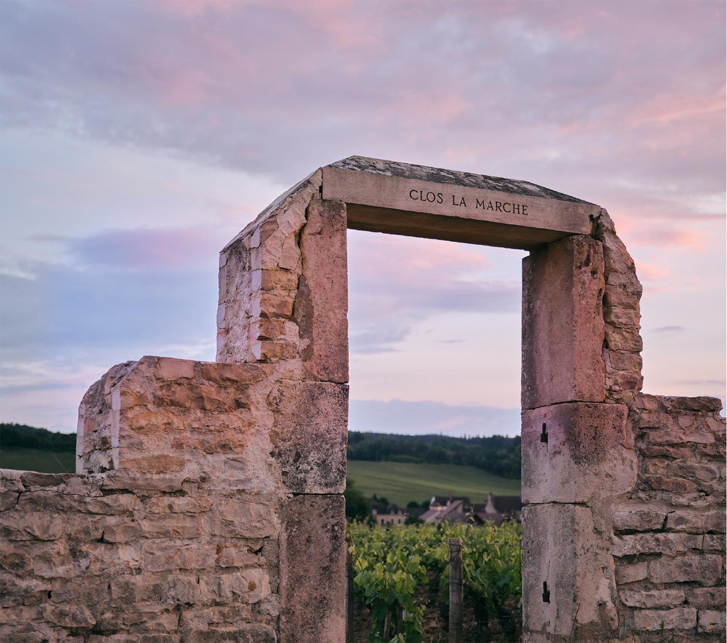 au coeur du Domaine MIA en Bourgogne